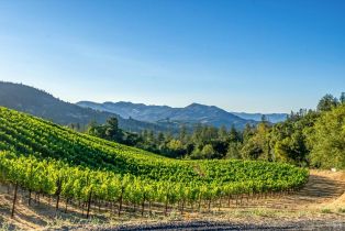 Agriculture,  Mount Veeder road, Napa, CA 94558 - 16