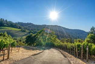 Agriculture,  Mount Veeder road, Napa, CA 94558 - 25