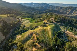 Agriculture,  Mount Veeder road, Napa, CA 94558 - 7