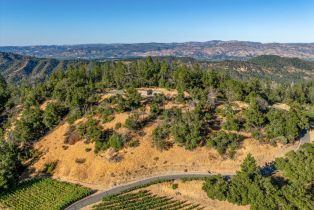 Agriculture,  Mount Veeder road, Napa, CA 94558 - 37