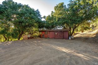 Agriculture,  Mount Veeder road, Napa, CA 94558 - 27