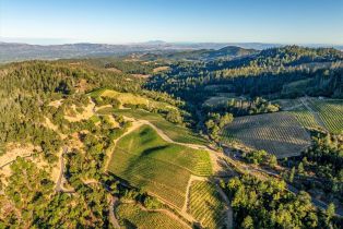 Agriculture,  Mount Veeder road, Napa, CA 94558 - 4