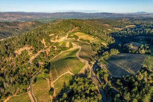 Agriculture,  Mount Veeder road, Napa, CA 94558 - 5