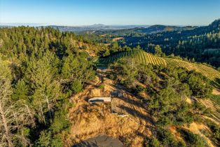 Agriculture,  Mount Veeder road, Napa, CA 94558 - 11