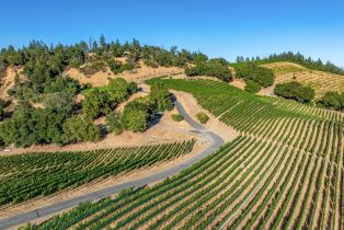 Agriculture,  Mount Veeder road, Napa, CA 94558 - 36