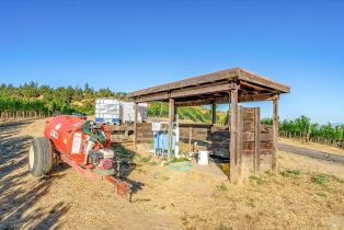 Agriculture,  Mount Veeder road, Napa, CA 94558 - 29