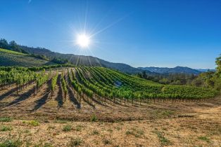 Agriculture,  Mount Veeder road, Napa, CA 94558 - 26