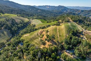 Agriculture,  Mount Veeder road, Napa, CA 94558 - 32