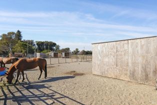 Single Family Residence,  Cuttings Wharf road, Napa, CA 94559 - 23