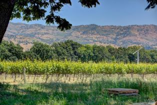 Single Family Residence,  Trubody lane, Napa, CA 94558 - 81