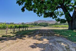 Single Family Residence,  Trubody lane, Napa, CA 94558 - 80