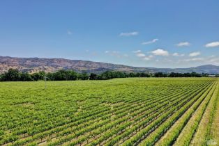 Single Family Residence,  Trubody lane, Napa, CA 94558 - 5