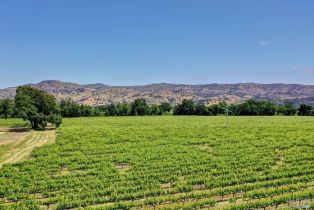 Single Family Residence,  Trubody lane, Napa, CA 94558 - 75