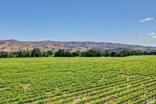 Single Family Residence,  Trubody lane, Napa, CA 94558 - 76