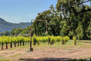 Single Family Residence,  Trubody lane, Napa, CA 94558 - 83