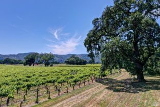 Single Family Residence,  Trubody lane, Napa, CA 94558 - 74