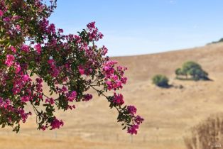 Single Family Residence,  Wilson Hill road, Petaluma, CA 94952 - 72