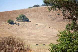 Single Family Residence,  Wilson Hill road, Petaluma, CA 94952 - 71