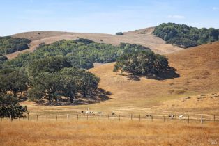 Single Family Residence,  Wilson Hill road, Petaluma, CA 94952 - 55