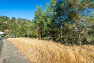 Residential Lot,  Steele Canyon road, Napa, CA 94558 - 4