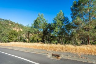 Residential Lot,  Steele Canyon road, Napa, CA 94558 - 9