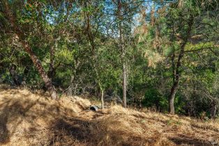 Residential Lot,  Steele Canyon road, Napa, CA 94558 - 8