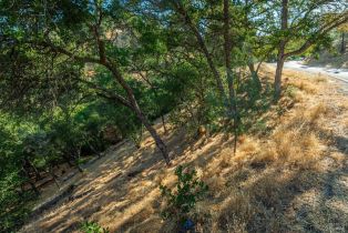 Residential Lot,  Steele Canyon road, Napa, CA 94558 - 14