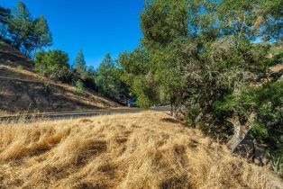 Residential Lot,  Steele Canyon road, Napa, CA 94558 - 8