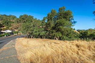 Residential Lot,  Steele Canyon road, Napa, CA 94558 - 10