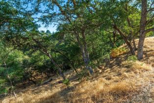 Residential Lot,  Steele Canyon road, Napa, CA 94558 - 5