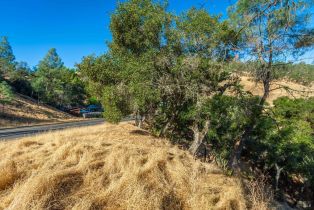 Residential Lot,  Steele Canyon road, Napa, CA 94558 - 13