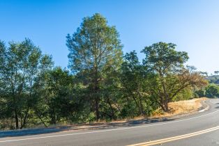 Residential Lot,  Steele Canyon road, Napa, CA 94558 - 9