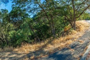 Residential Lot,  Steele Canyon road, Napa, CA 94558 - 6