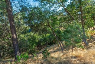 Residential Lot,  Steele Canyon road, Napa, CA 94558 - 16