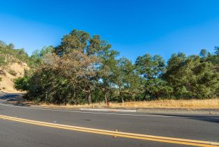 Residential Lot,  Steele Canyon road, Napa, CA 94558 - 7