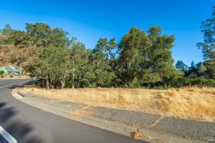 Residential Lot,  Steele Canyon road, Napa, CA 94558 - 4