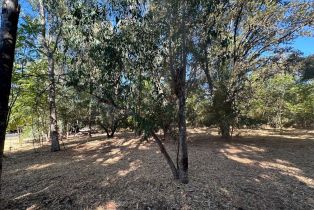 Residential Acreage, 250 Napa road, Sonoma, CA 95476 - 6