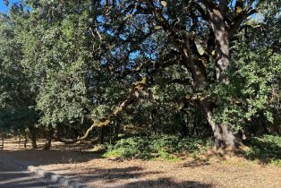 Residential Acreage, 250 Napa road, Sonoma, CA 95476 - 2