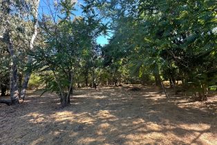 Residential Acreage, 250 Napa road, Sonoma, CA 95476 - 5