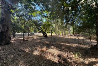 Residential Acreage, 250 Napa road, Sonoma, CA 95476 - 8