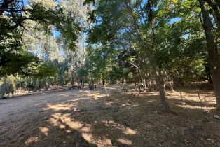 Residential Acreage, 250 Napa road, Sonoma, CA 95476 - 4