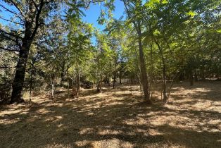 Residential Acreage, 250 Napa road, Sonoma, CA 95476 - 7