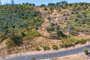 Residential Lot,  Silver Fox court, Santa Rosa, CA 95403 - 10