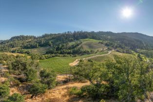 Single Family Residence,  Mount Veeder road, Napa, CA 94558 - 34