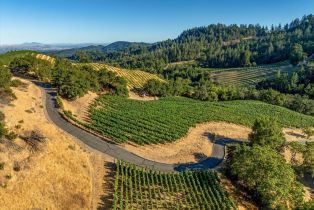 Single Family Residence,  Mount Veeder road, Napa, CA 94558 - 36