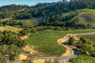 Single Family Residence,  Mount Veeder road, Napa, CA 94558 - 35