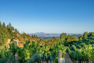 Single Family Residence,  Mount Veeder road, Napa, CA 94558 - 24