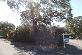 Single Family Residence,  4th avenue, Sonoma, CA 95476 - 35