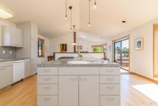 Single Family Residence,  Curlew Reach none, Sea Ranch, CA 95497 - 20