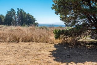 Single Family Residence,  Curlew Reach none, Sea Ranch, CA 95497 - 30